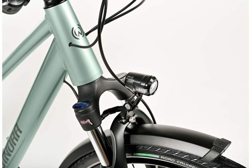 Bicicleta Winora Domingo X18 Mid 2025 - Imagen 4